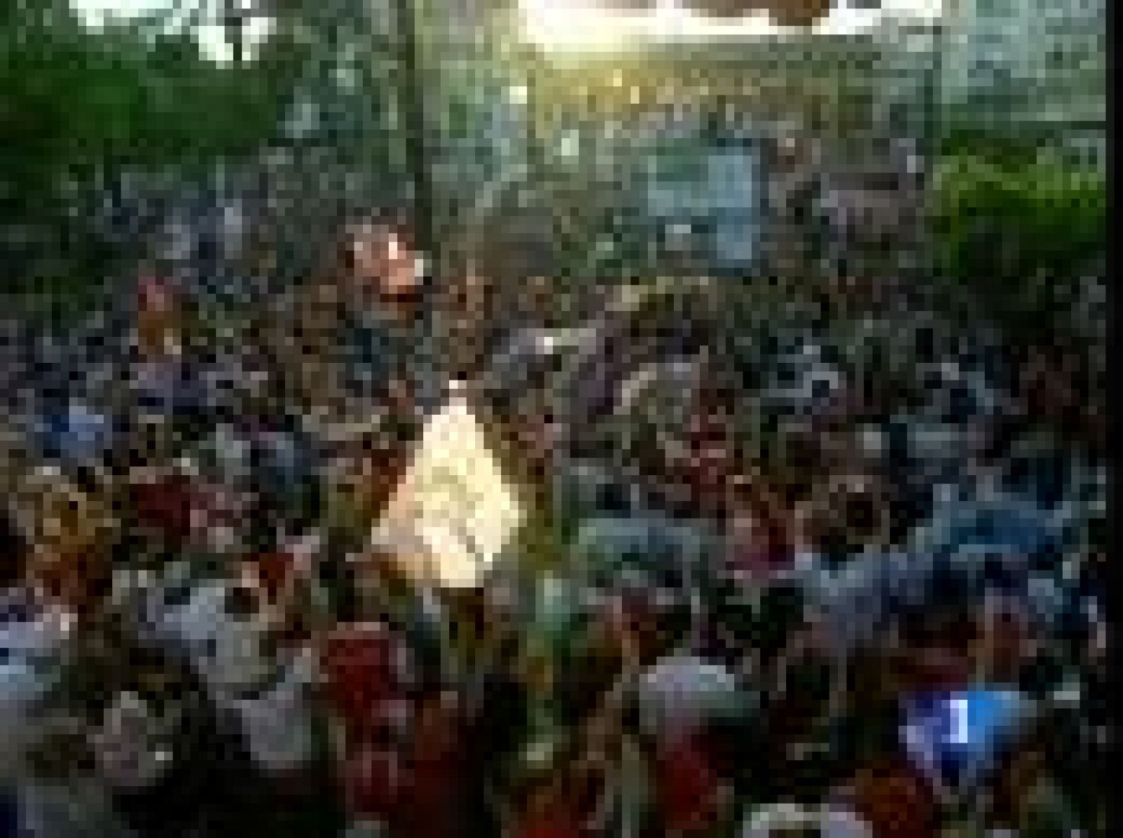 El Sevilla se ha rodeado de miles de aficionados hispalenses en el recorrido de la celebración en Sevilla de la Copa del Rey conseguida el miércoles en el Camp Nou ante el Atlético de Madrid.