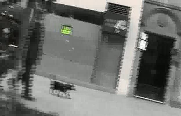 "Ayer tuve un sueño"