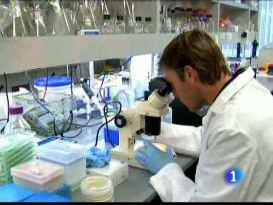 Ciencia y tecnología en Rtve.es - Vida artificial