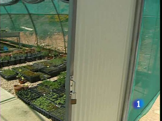 Ciencia y tecnología en Rtve.es - La biodiversidad nos afecta a todos