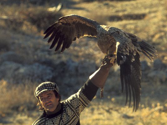 La doma del águila real para cazar