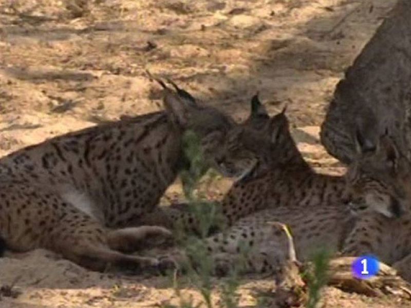  Día Mundial de la Biodiversidad