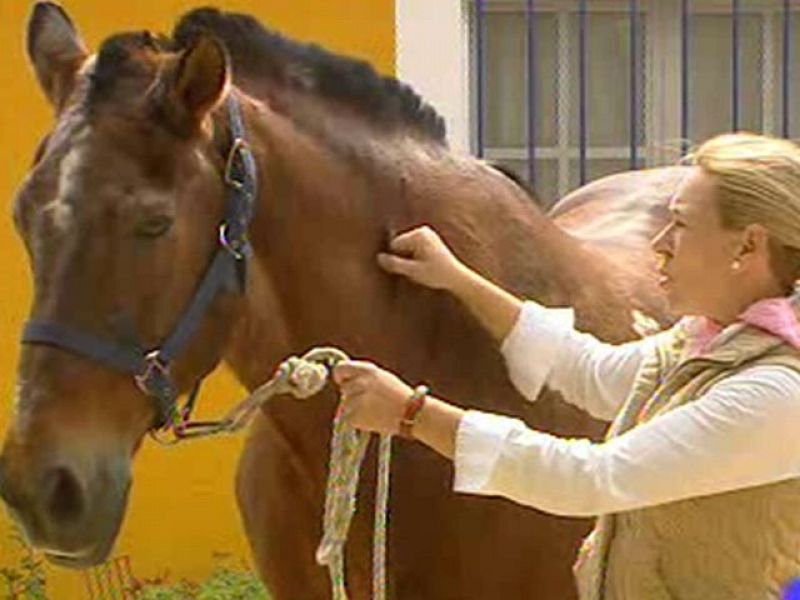 Cuidar al caballo en El Rocío