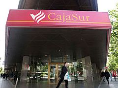 Los administradores de Cajasur deben presentar un plan de viabilidad