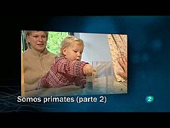 Redes - Somos primates - Segunda parte