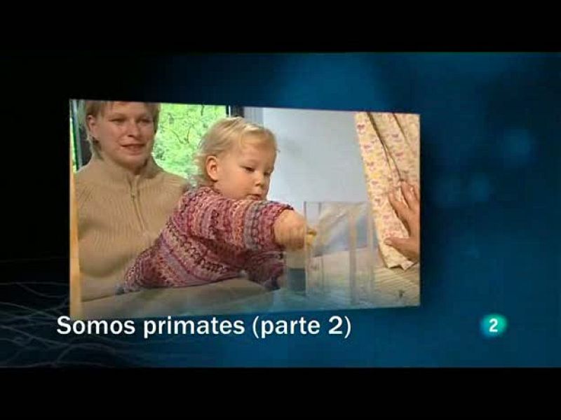 Redes (23/05/10): Somos primates (2ª parte)