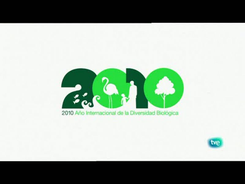 Serie: Biodiario. Dirección: Luis Miguel Domínguez. Sinopsis: El somormujo lavanco a pleno pulmón, el rey del buceo. Los caminos de nuestra historia y como utilizar nuestro carro de la compra.