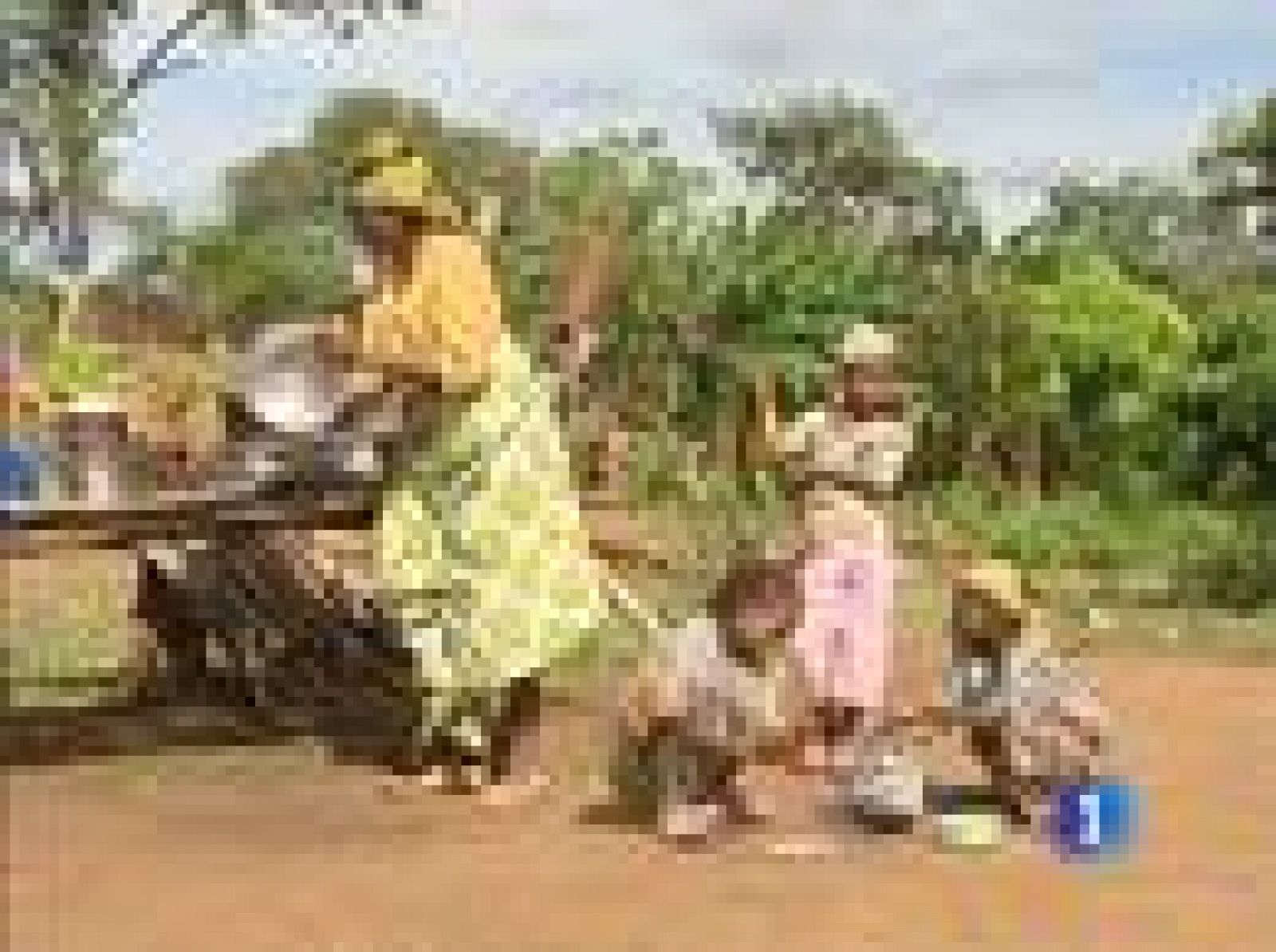 Día Internacional de África | Ver