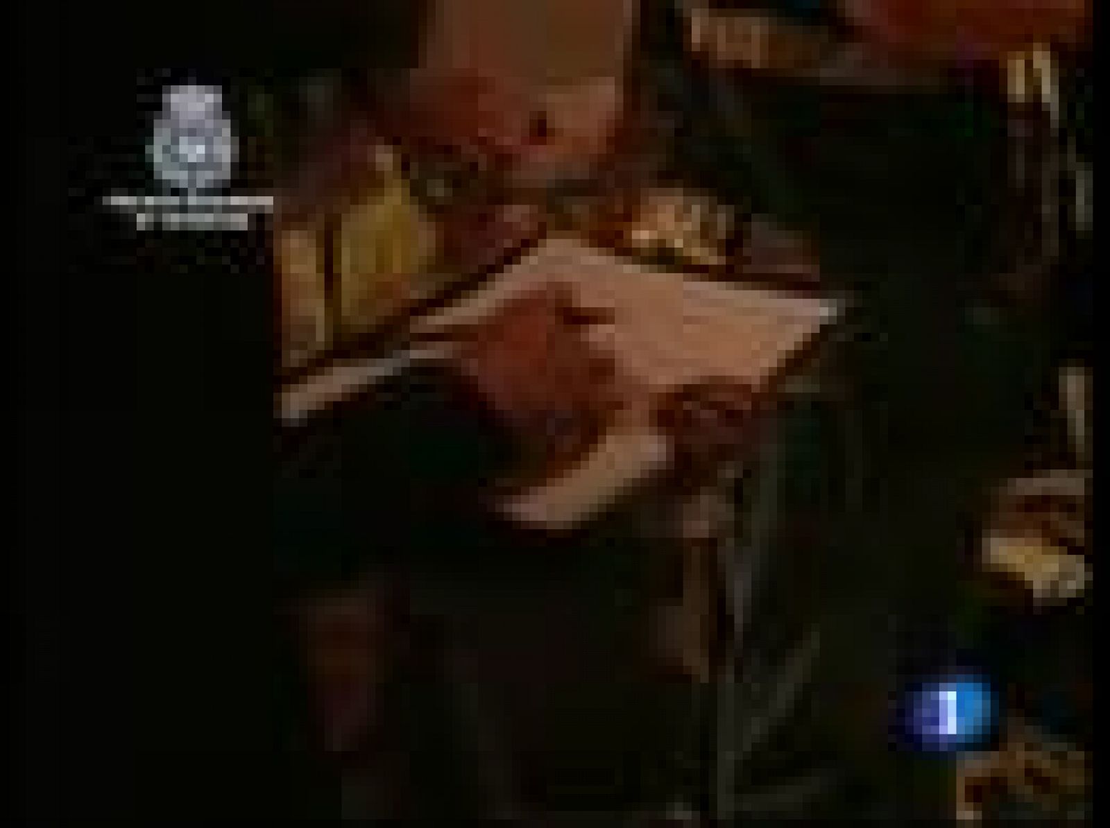 Operación policial contra la mafia irlandesa en la Costa del Sol | Ver