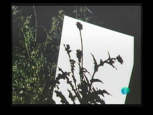 Continuarà... - La galeria Taché: