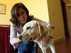 El mundo se mueve contigo - Vidas adaptadas: capítulo 12