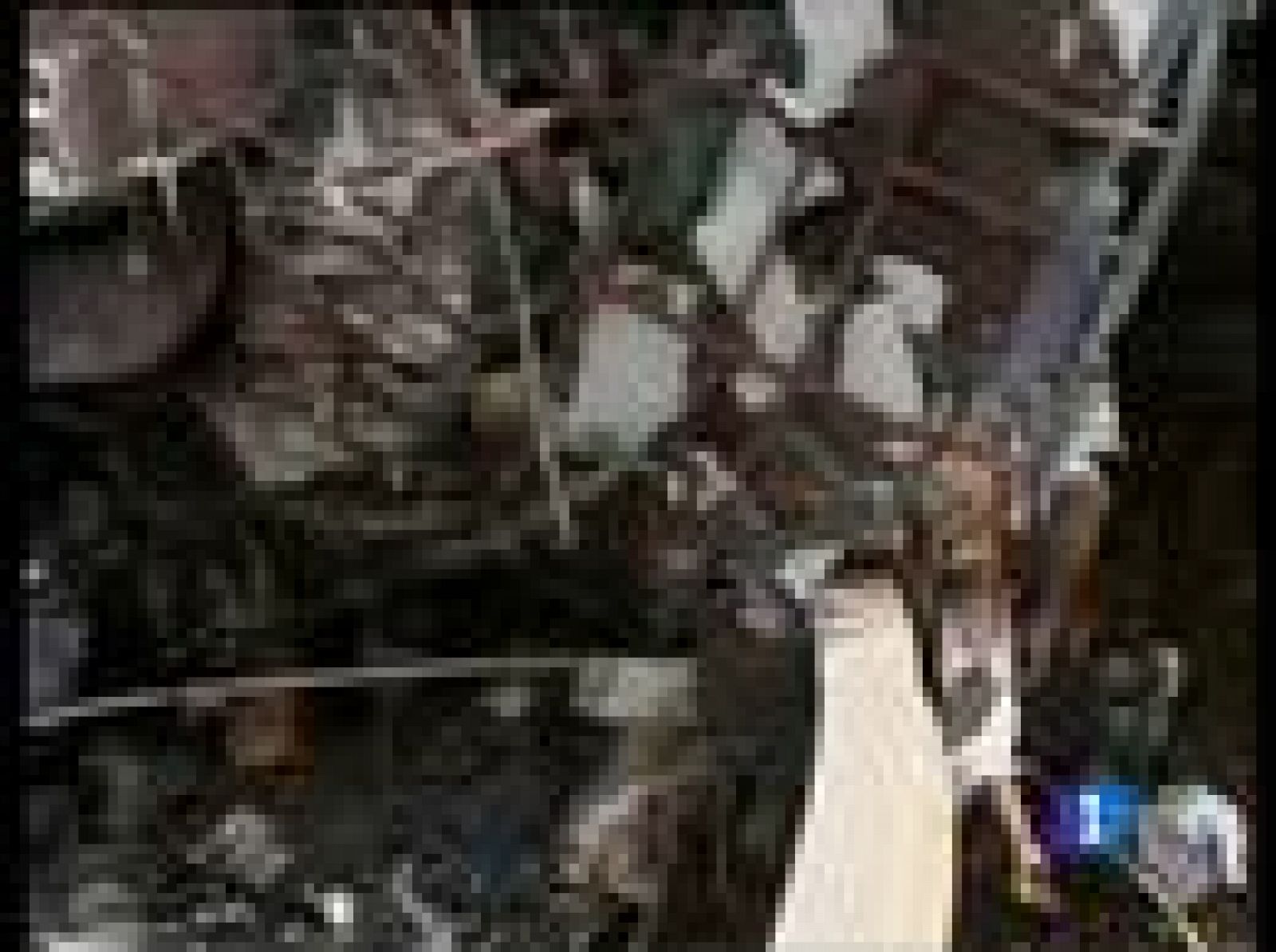 El atentado contra un tren, en la India, ha causado al menos 65 muertos y 200 heridos | Ver