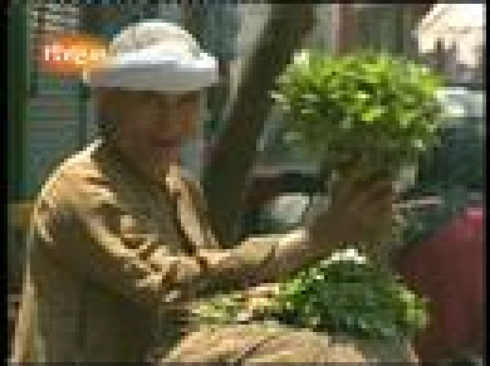 Españoles en el mundo - El Cairo - Avance | Ver