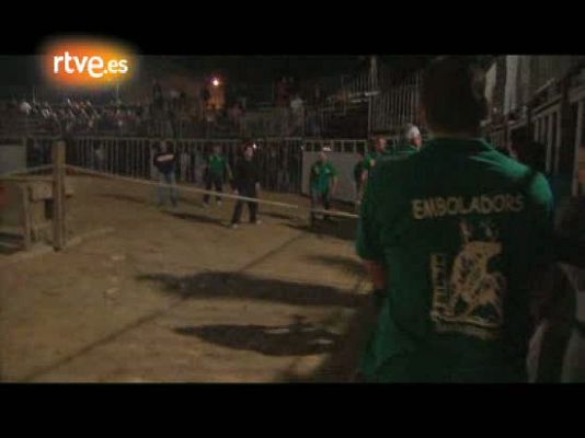 Crónicas - Fiesta del toro embolado