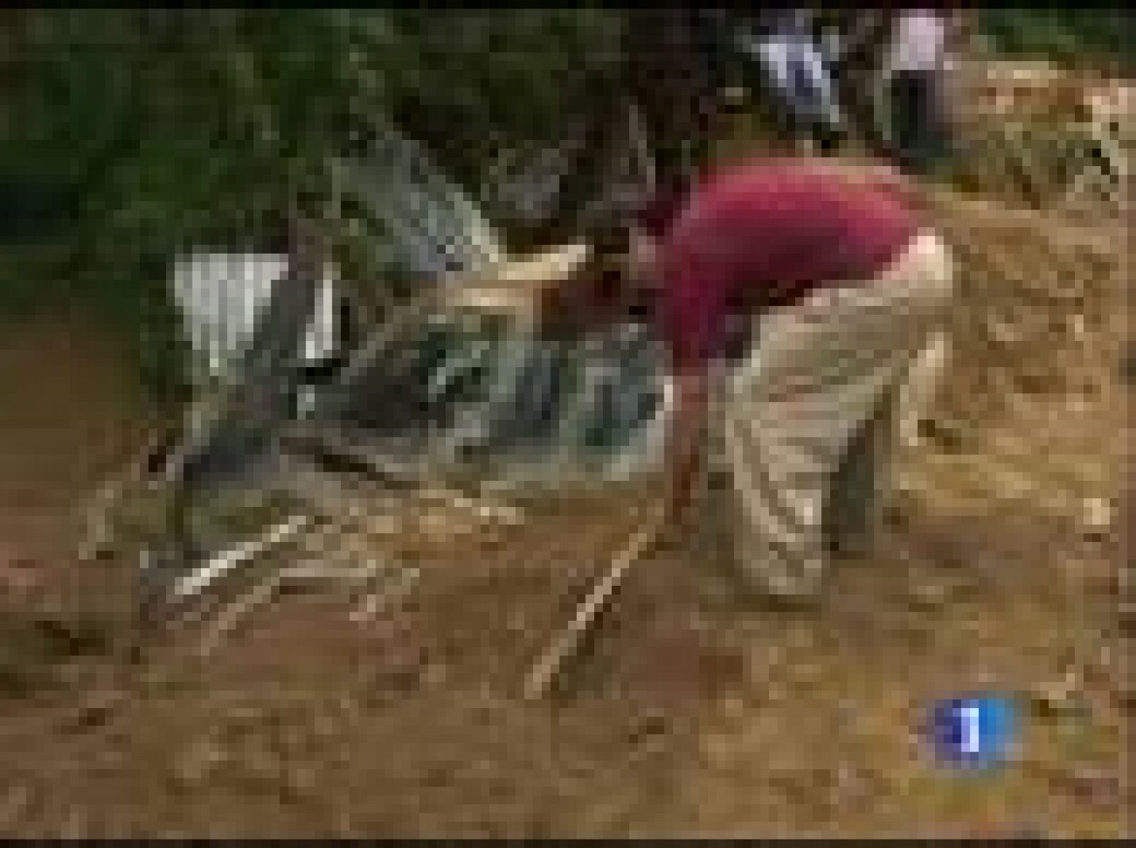 El Tiempo - 31/05/10 - El tiempo | Ver