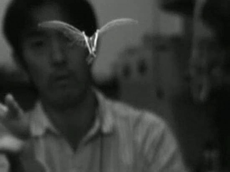  Alas de plástico fino, casi transparente. Vasos sanguíneos de poliuretano y cuerpo de ligera madera y alambre. Ejecuta un vuelo grácil, aunque no perfecto. Este etéreo y extraño ser lo han diseñado ingenieros japoneses. Es una mariposa artificial.