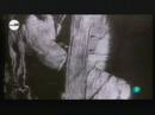 tres14 - Últimas noticias