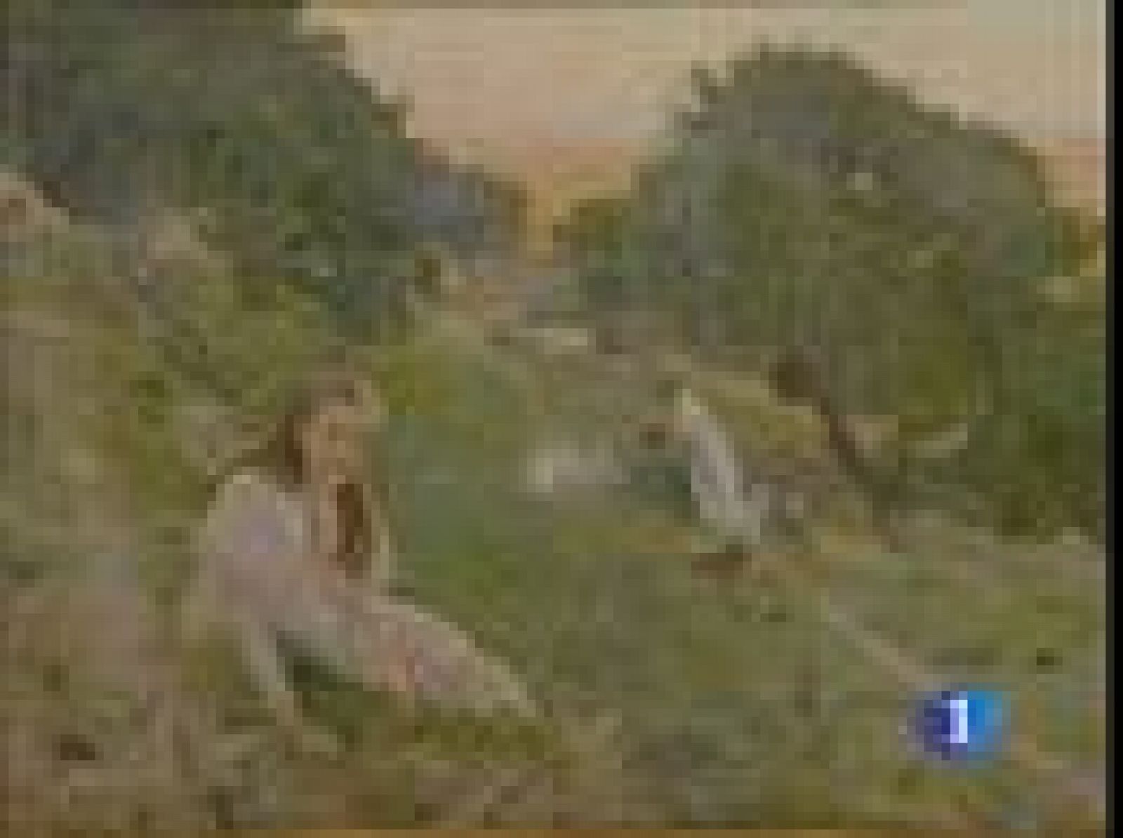 La colección privada del Santander llegará al público a través de la red | Ver