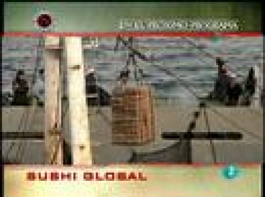 Documentos TV - "Sushi global"