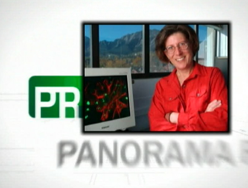 Panorama regional - 02/06/10 - Panorama Regional | Ver