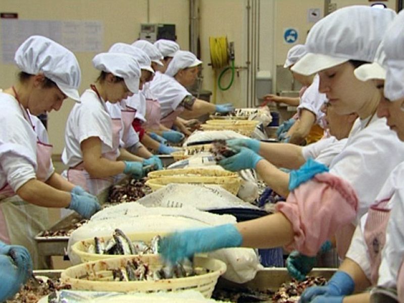  El escarabajo verde (03/06/10): La anchoa a diario