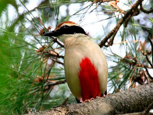 Ciencia y tecnología en Rtve.es - Día Mundial del Medio Ambiente