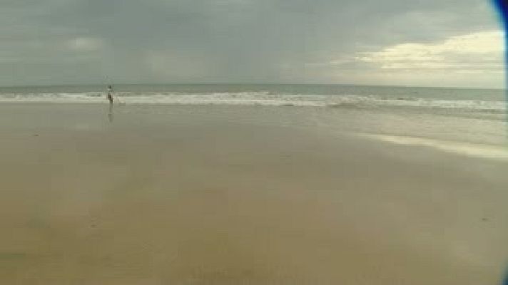 El escarabajo verde - Coquineros en las playas de Doñana