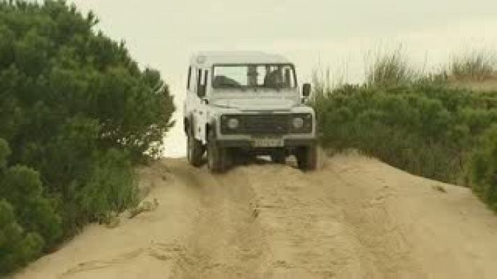 Las dunas móviles de Doñana