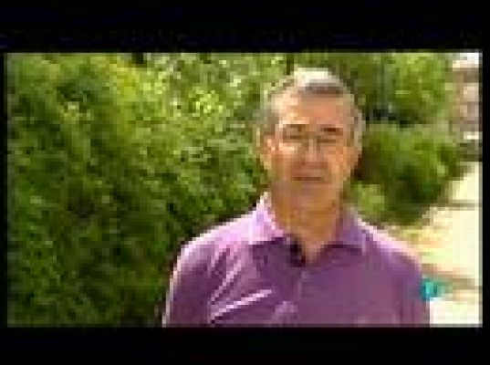 RTVE responde - ¿Cómo medimos la temperatura?