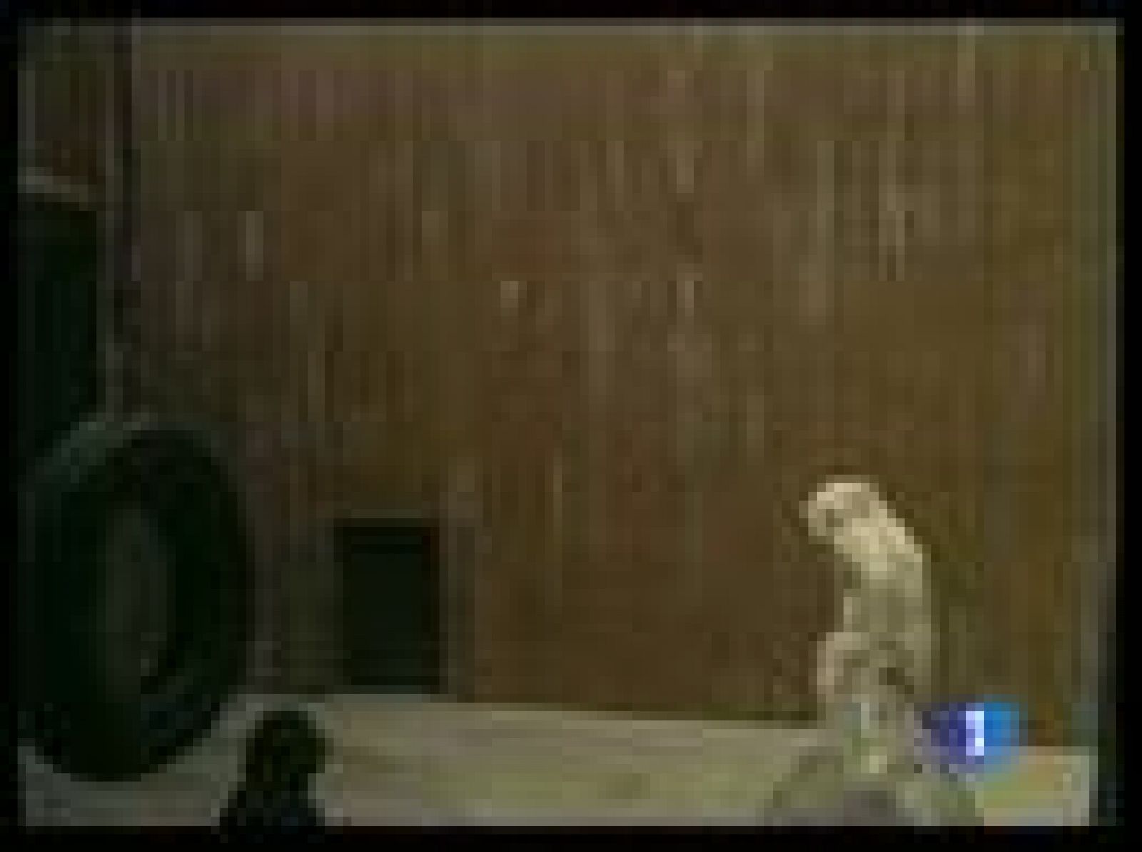 Se rueda una película con la historia de Copito de nieve | Ver