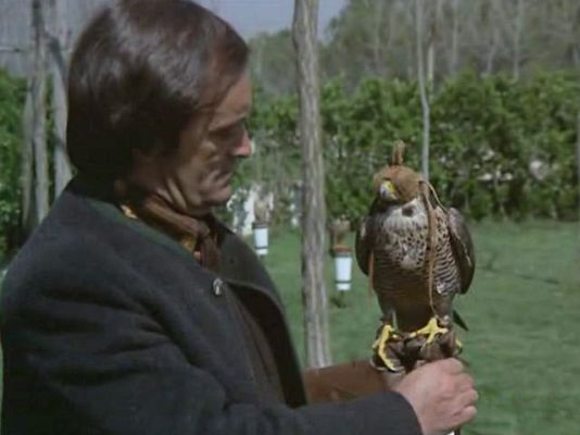 El hombre y la Tierra - El arte de la cetrería