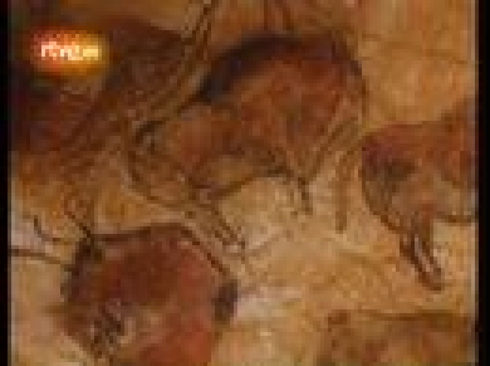 Imágenes del interior de las cuevas de Altamira | Ver