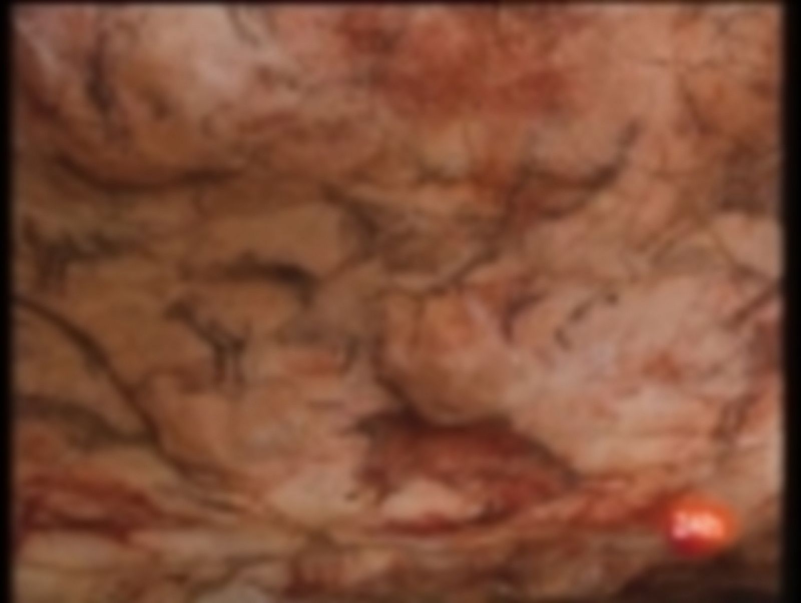 La Tarde en 24 horas (08/06/10) I