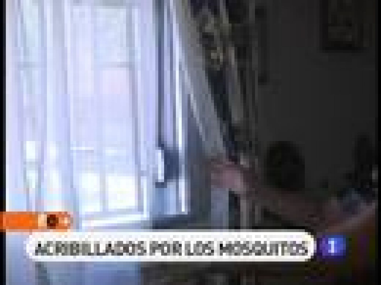 España Directo: Acribillados por los mosquitos | RTVE Play