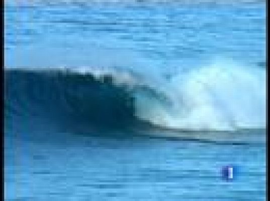  - Festival de cine sobre surf