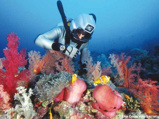 Viajes submarinos de Cousteau