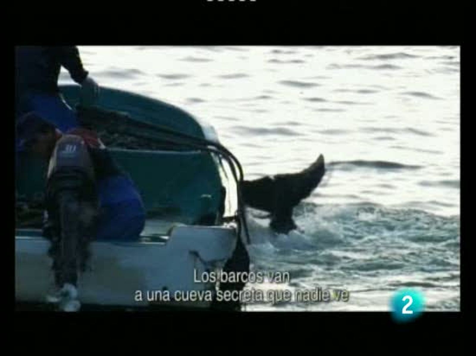 Se van a proyectar más de 40 películas de temática surfera además de música y exposiciones.