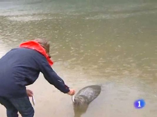 TeleCantabria - Telecantabria - 10/06/10