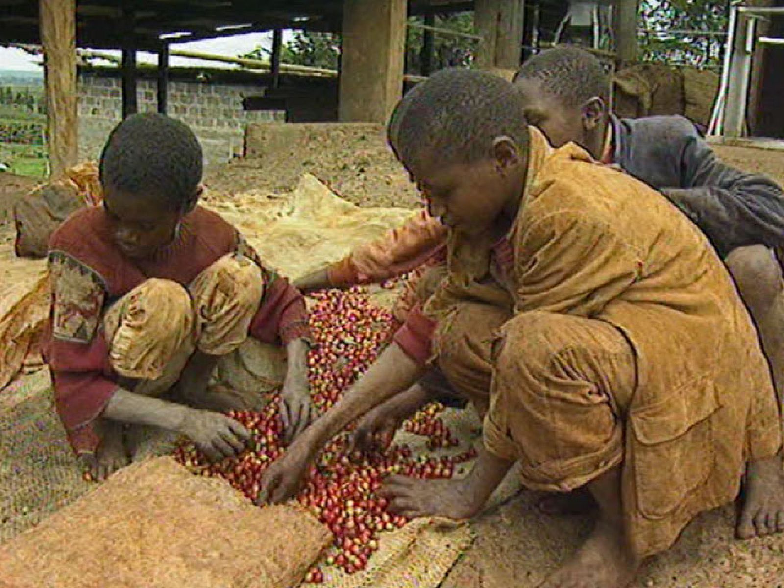Unos 215 millones de niños en todo el mundo trabajan para poder sobrevivir | Ver