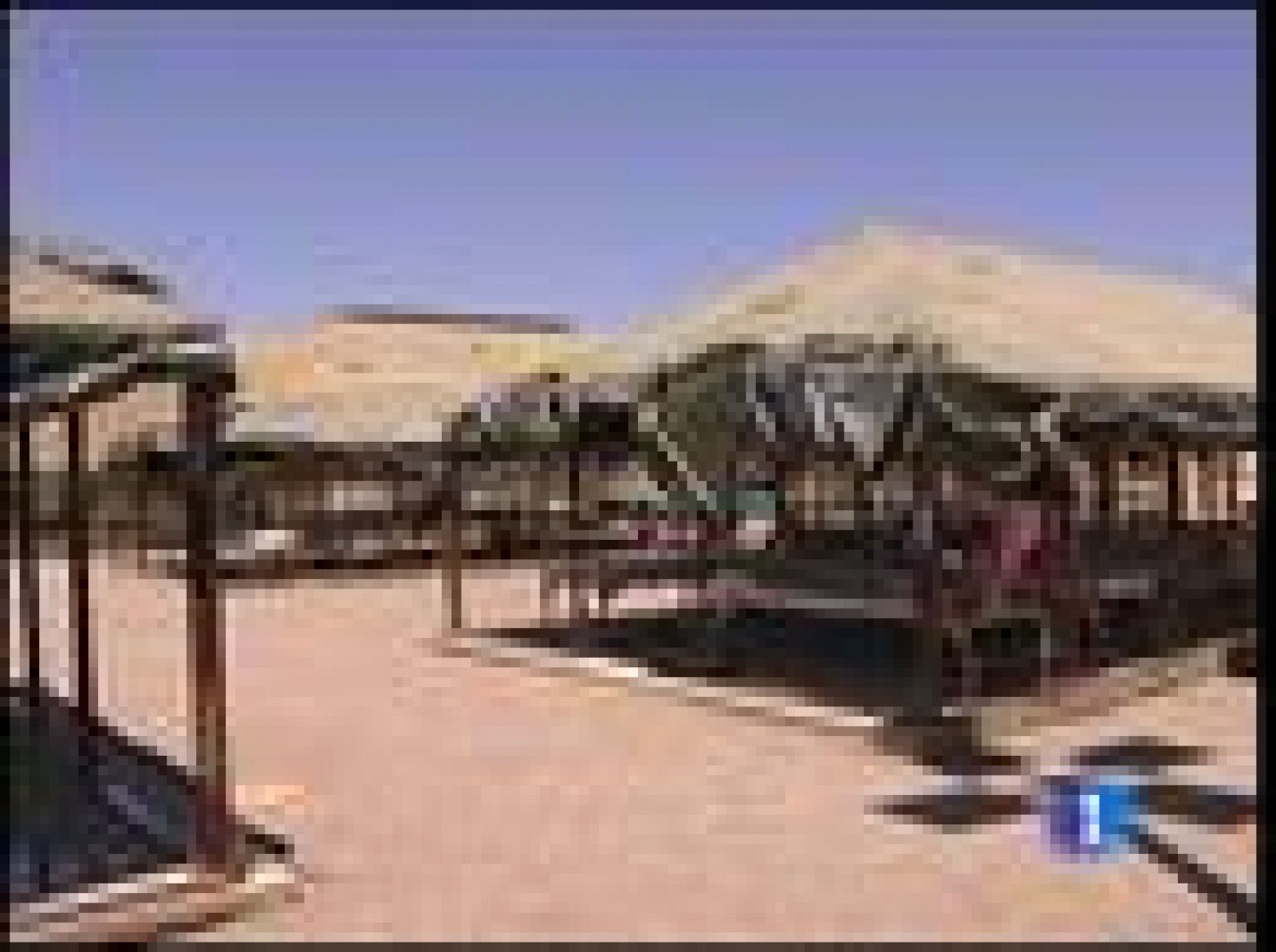 La ley Arizona criminaliza a los inmigrantes sin documentos | Ver