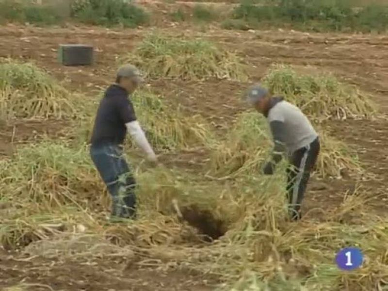  Noticias de Castilla La Mancha. Informativo de Castilla La Mancha. (11/06/10).