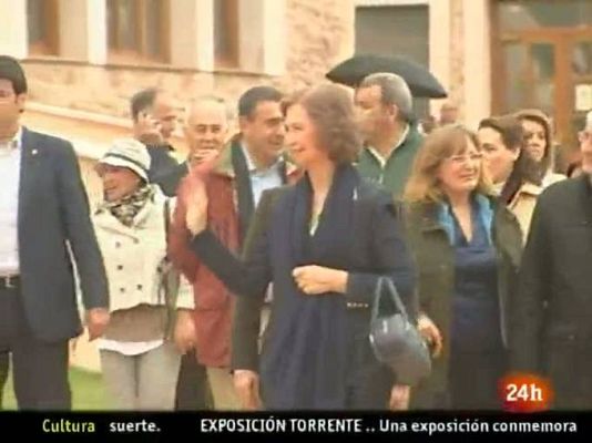 Natural - Árboles contra el cambio climático