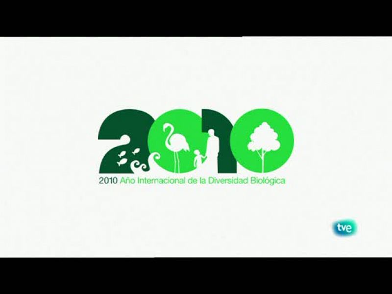 Serie: Biodiario. Dirección: Luis Miguel Domínguez. Sinopsis:  Aviones artesanos, las huellas del Oso y nuestras mascotas.