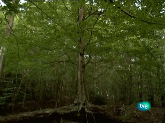 Metrópolis - Ana Laura Aláez