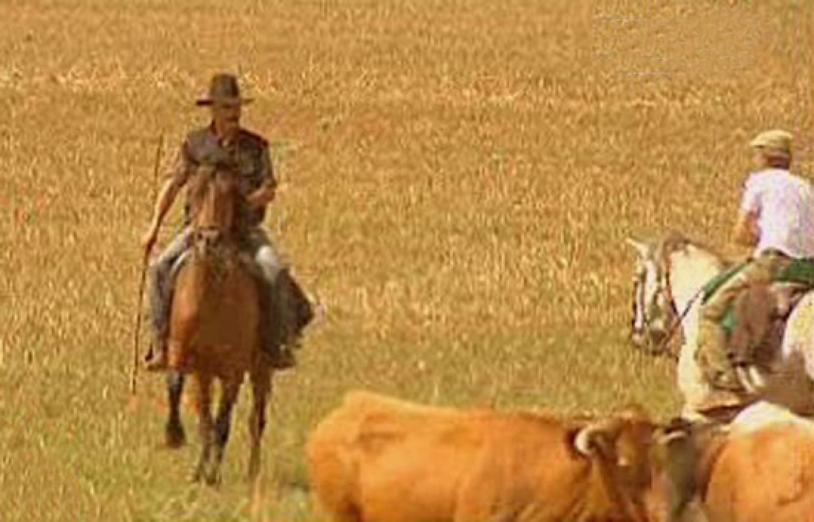 España Directo - Una de vaqueros | Ver