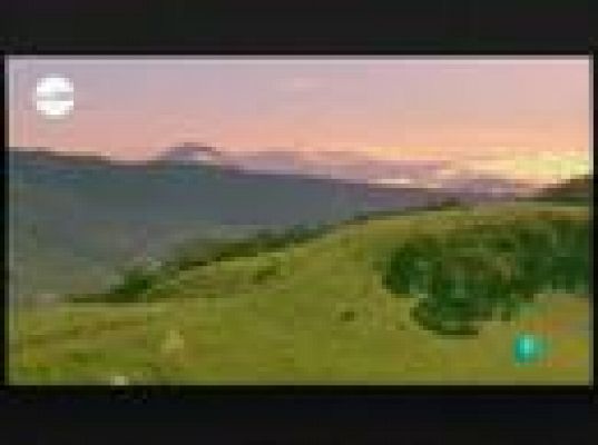 tres14 - Últimas noticias