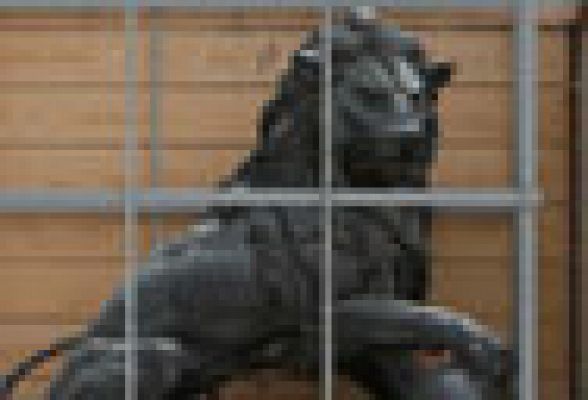  - Los leones del Congreso ven la luz