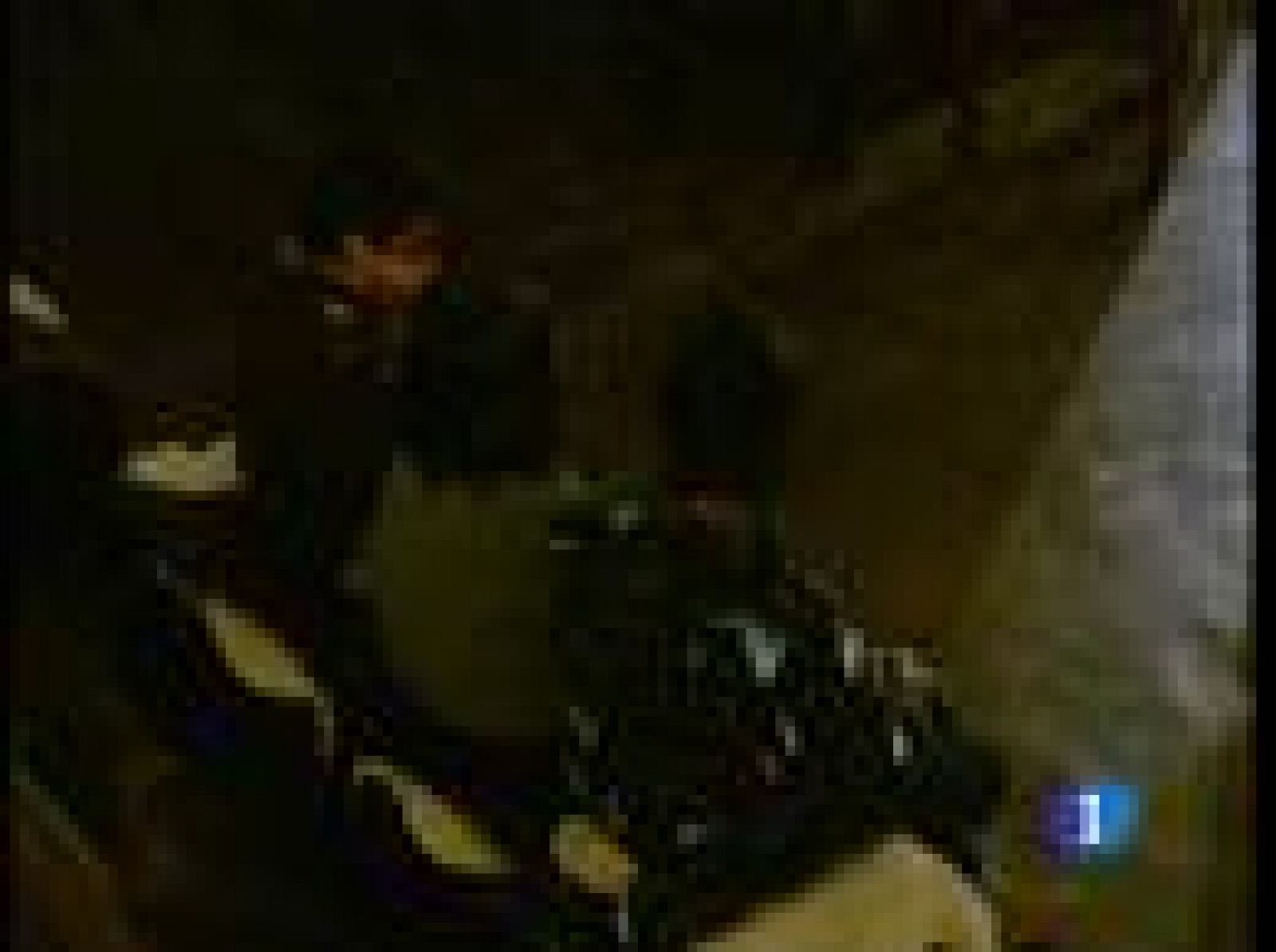 Pinturas de guerra en Pretoria | Ver