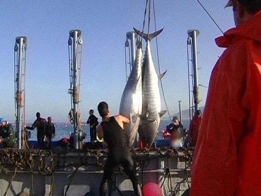 Comando Actualidad - De lo bueno lo mejor