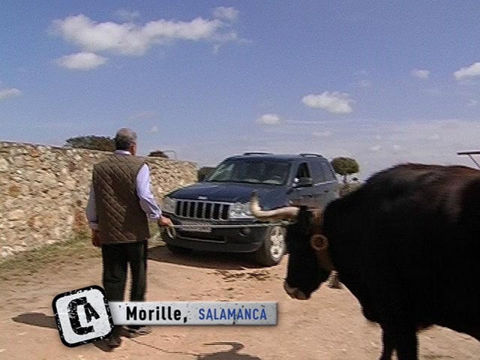 Comando Actualidad - Carne de buey - Comando Actualidad | Ver